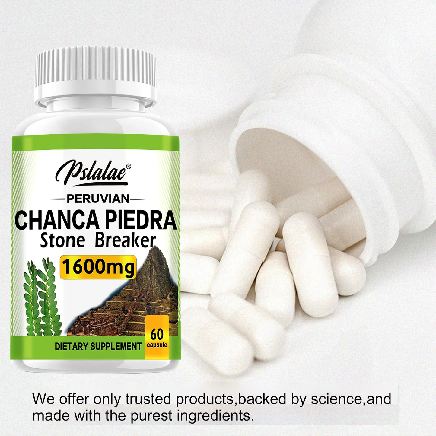 Chanca Piedra 1600mg -
Kidney Support Supplement, and Gallstones 60 Capsules