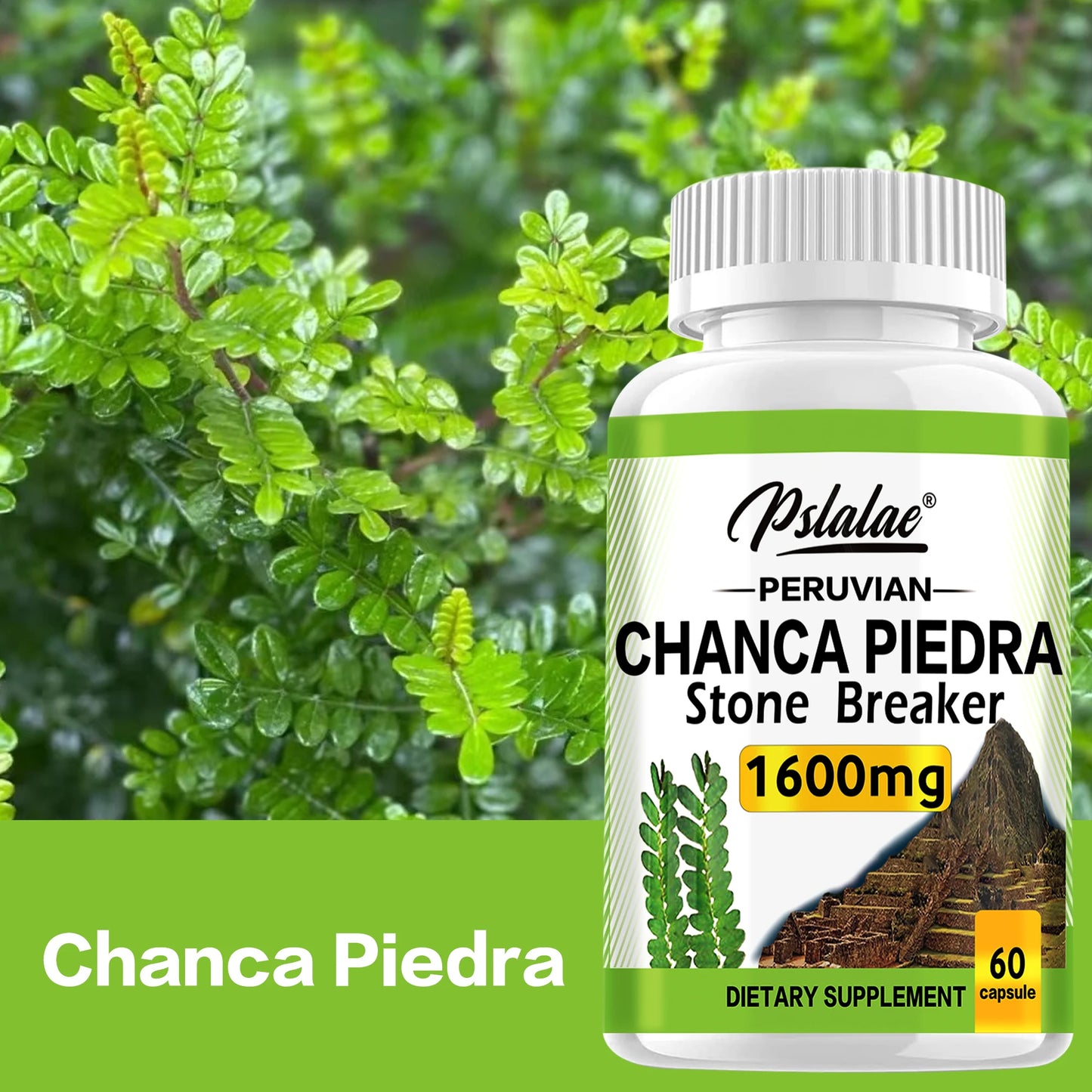 Chanca Piedra 1600mg -
Kidney Support Supplement, and Gallstones 60 Capsules