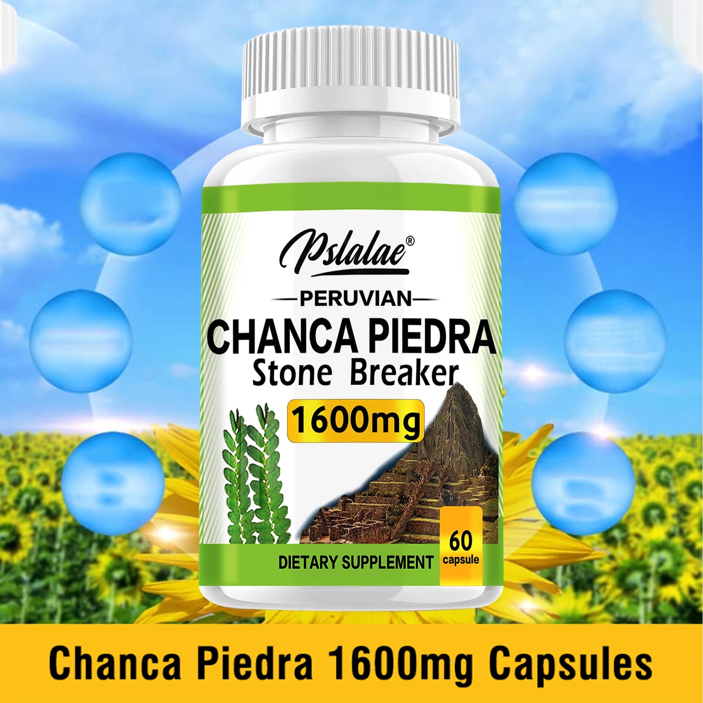 Chanca Piedra 1600mg -
Kidney Support Supplement, and Gallstones 60 Capsules