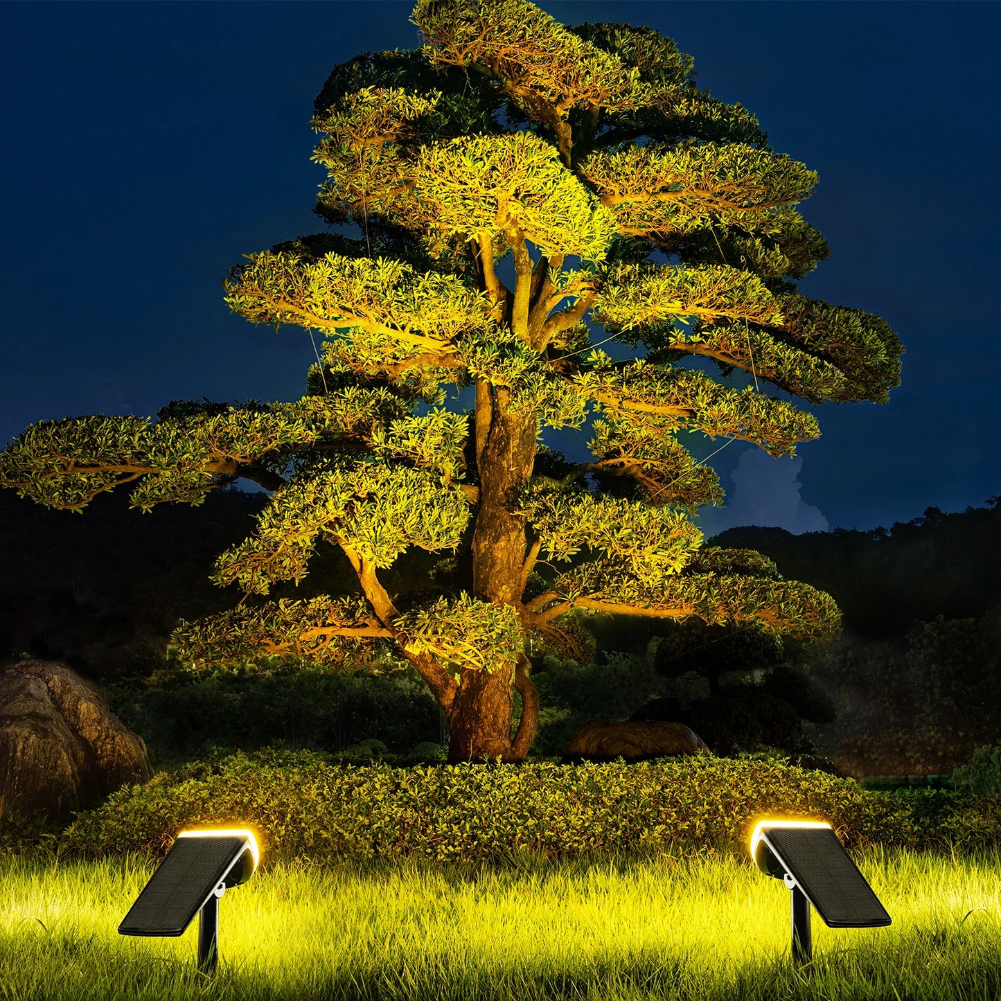 2 Pack Solar Spotlights Outdoor Warm Light 600LM
24LED Waterproof Landscape Lights, 3-in-1 Installation, Adjustable Head