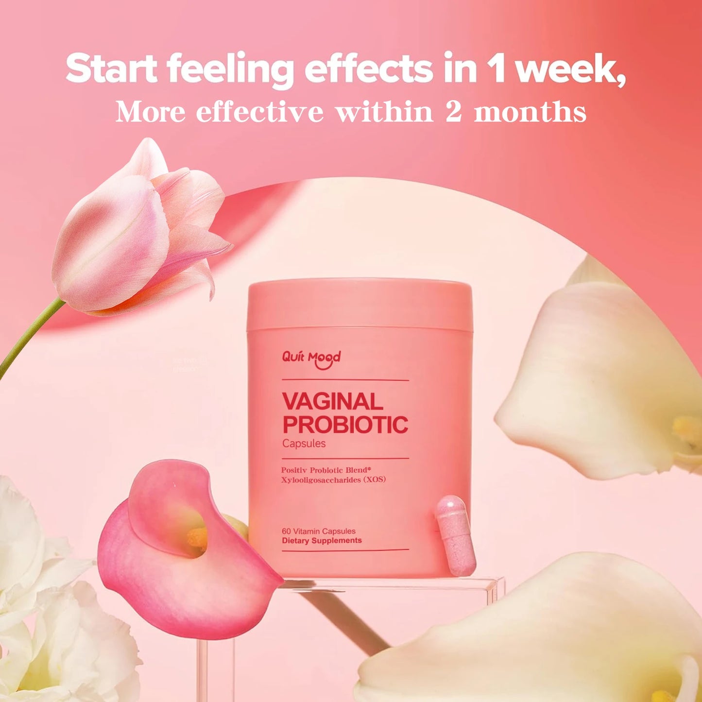 Probiotics for Women
PH Balance with Probiotics and Lactobacillus Probiotic Blend