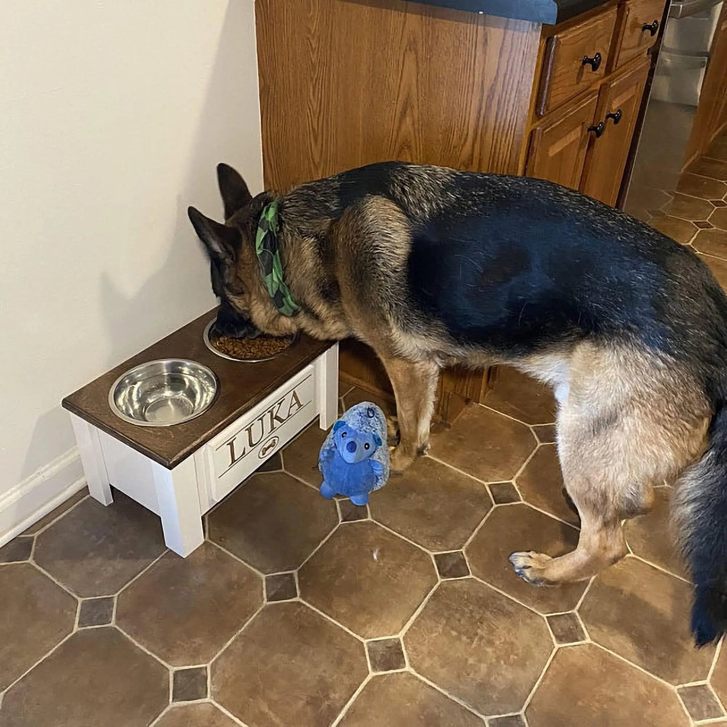 Raised Dog Bowl Stand with Internal Storage Elevated Dog Bowls
with Double Stainless Steel Dish Separate Design