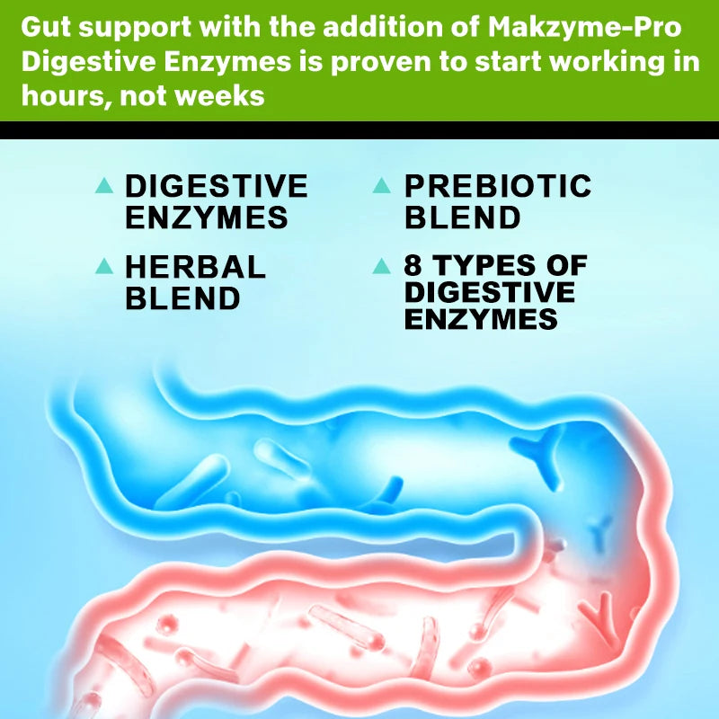Digestive enzyme supplements Immune system support and healthy digestion