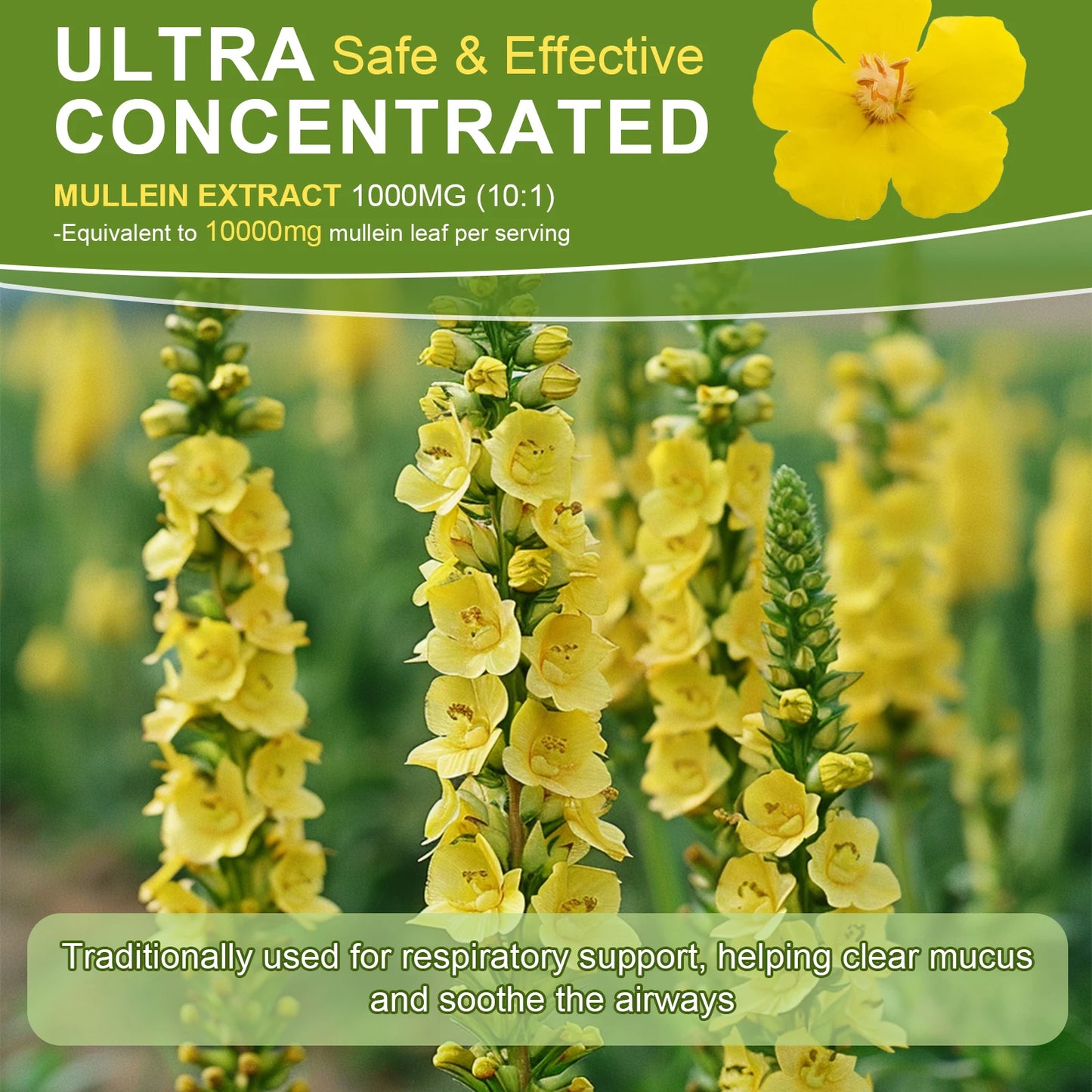 Mullein Drops for Lungs -
Mullein Leaf Extract Supplement -
Lung & Bronchial Cleanse - Respiratory Health Support