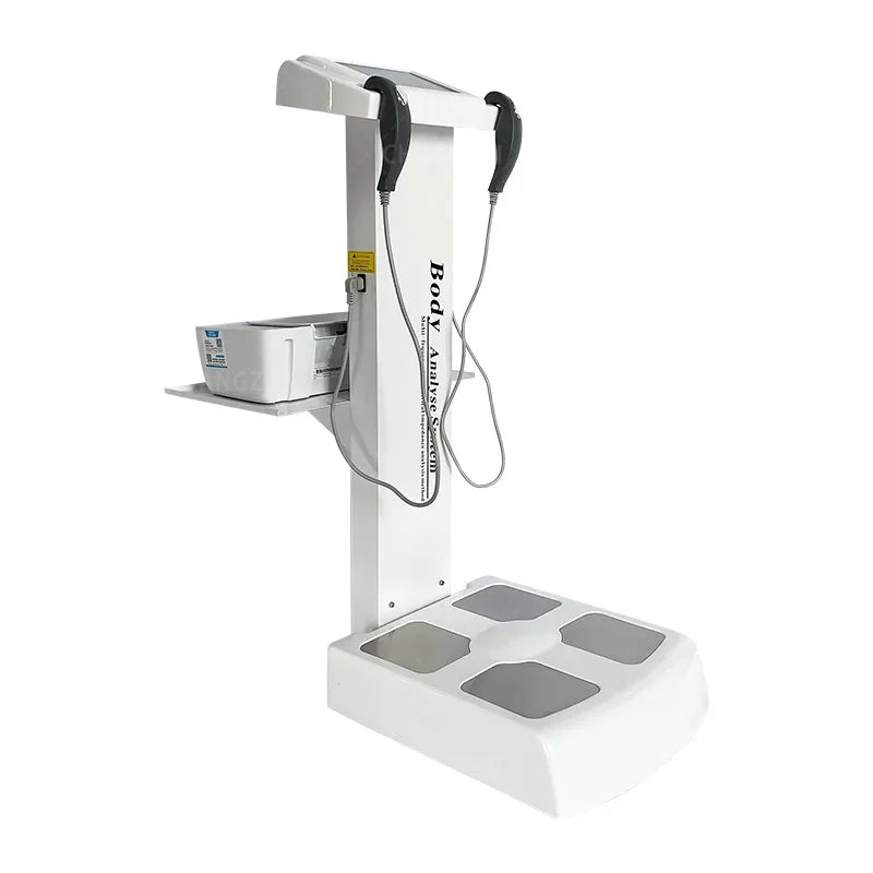 professional blood lipid body fat body mass measurement health report