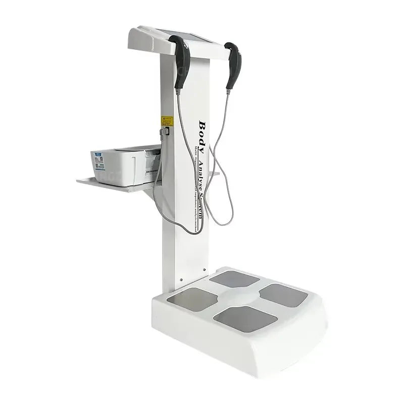 professional blood lipid body fat body mass measurement health report