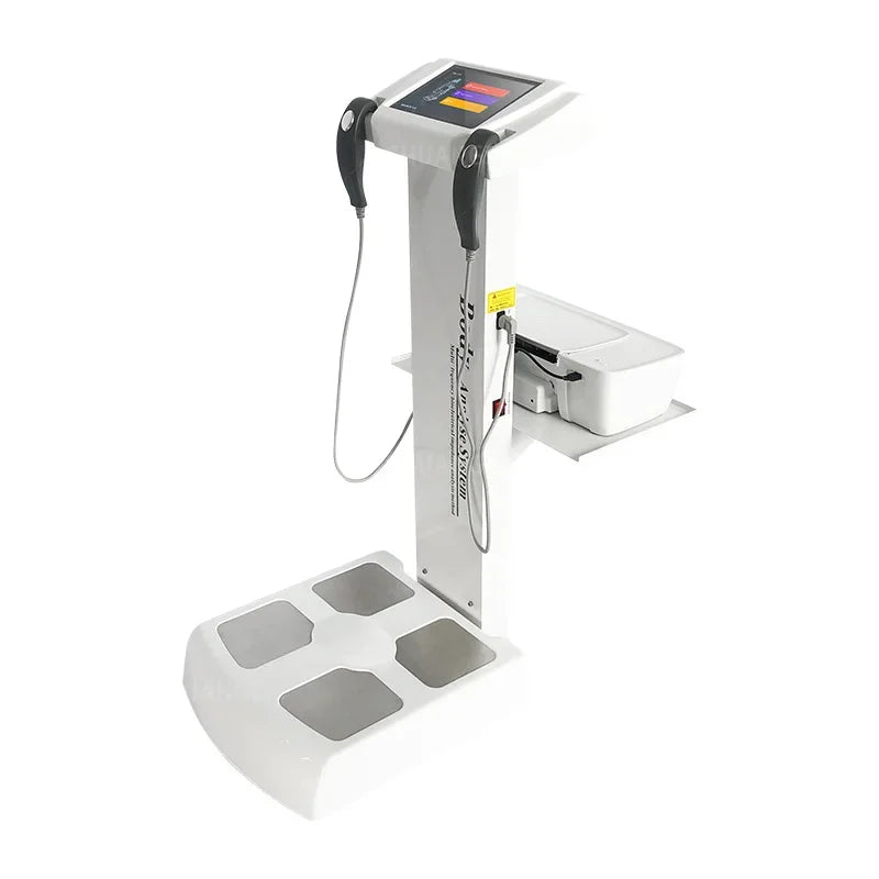 professional blood lipid body fat body mass measurement health report
