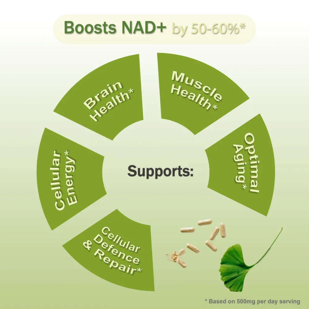 High Purity NAD Boosting Supplement: Liposomal 
Nicotinamide Riboside with Resveratrol & Quercetin – Alternative to NAD Suppleme