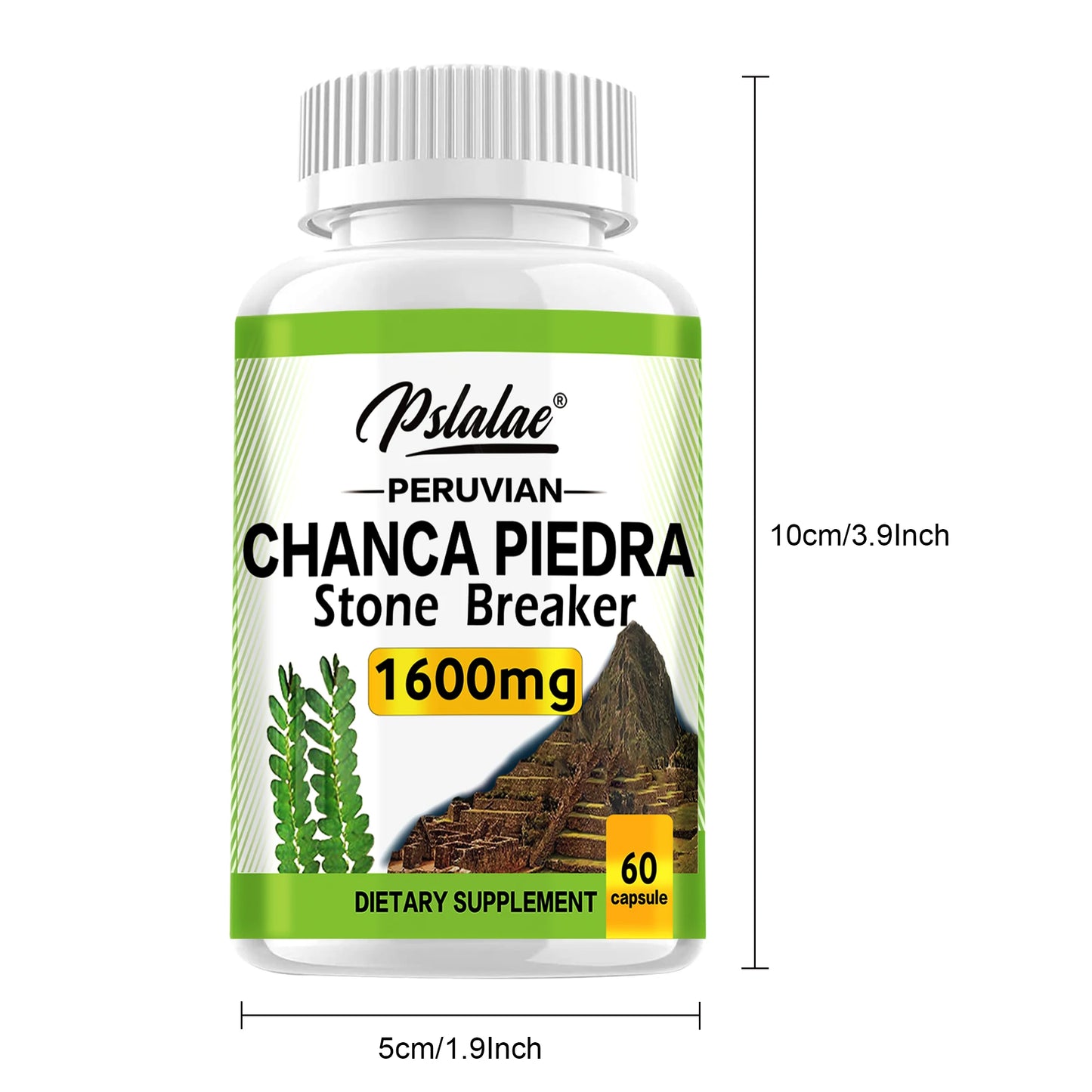 Chanca Piedra 1600mg -
 Kidney Support Supplement, and Gallstones 60 Capsules