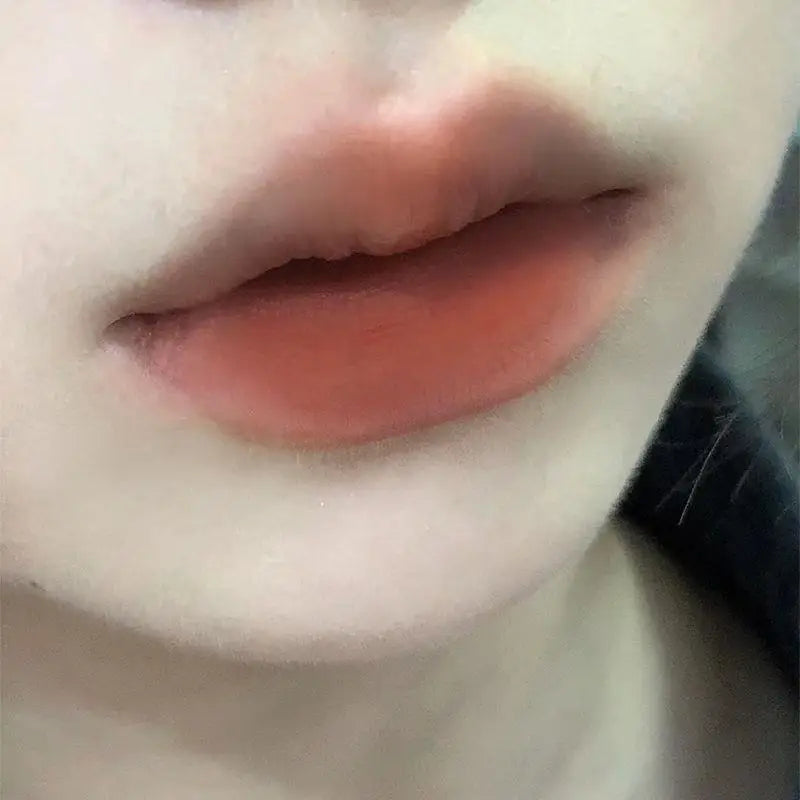 Lip Mud Liquid Lipstick Waterproof Nude Lip Gloss Long Lasting