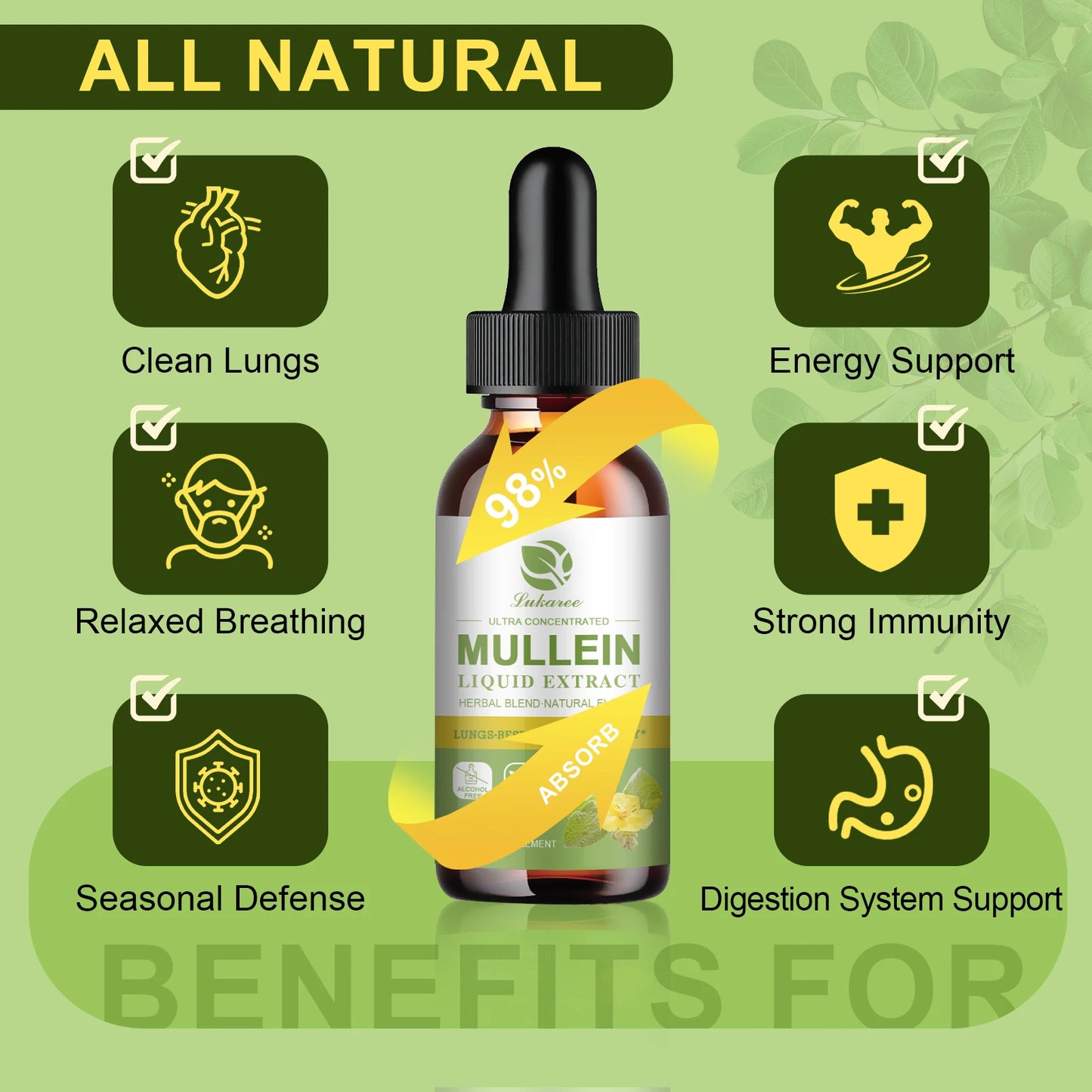 Mullein Drops for Lungs -
 Mullein Leaf Extract Supplement  -
 Lung & Bronchial Cleanse - Respiratory Health Support